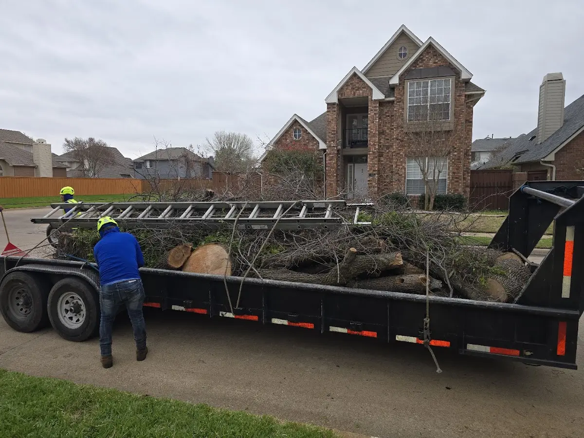 Expert Lot Clearing with proper safety equipment in Bourbon